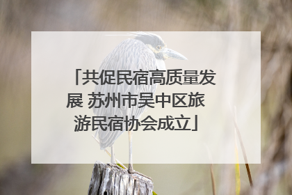 共促民宿高质量发展 苏州市吴中区旅游民宿协会成立