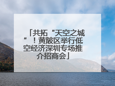 共拓“天空之城”！黄陂区举行低空经济深圳专场推介招商会