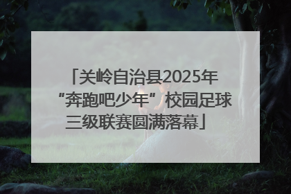 关岭自治县2025年“奔跑吧少年”校园足球三级联赛圆满落幕