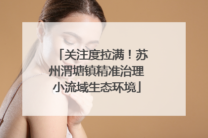 关注度拉满！苏州渭塘镇精准治理小流域生态环境