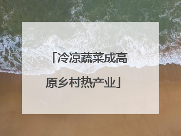 冷凉蔬菜成高原乡村热产业