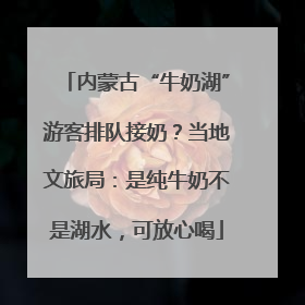 内蒙古“牛奶湖”游客排队接奶?当地文旅局:是纯牛奶不是湖水,可放心喝
