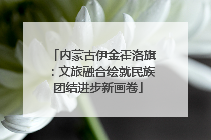 内蒙古伊金霍洛旗：文旅融合绘就民族团结进步新画卷