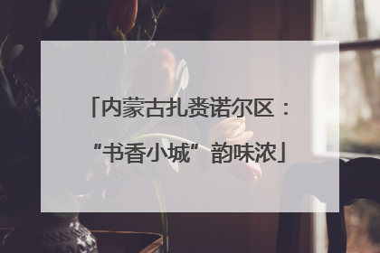内蒙古扎赉诺尔区：“书香小城”韵味浓