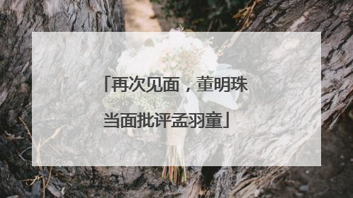 再次见面，董明珠当面批评孟羽童