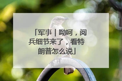 军事｜呦呵，阅兵细节来了，看特朗普怎么说