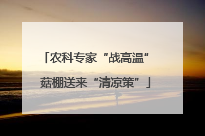 农科专家“战高温” 菇棚送来“清凉策”