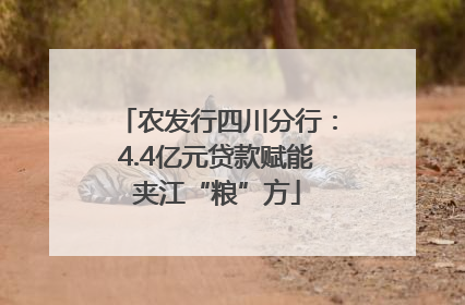 农发行四川分行：4.4亿元贷款赋能夹江“粮”方