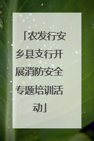 农发行安乡县支行开展消防安全专题培训活动
