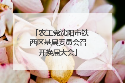 农工党沈阳市铁西区基层委员会召开换届大会