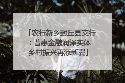 农行新乡封丘县支行：普惠金融润泽实体 乡村振兴再添新翼