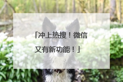 冲上热搜！微信又有新功能！