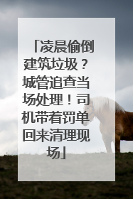 凌晨偷倒建筑垃圾？城管追查当场处理！司机带着罚单回来清理现场