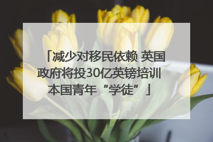 减少对移民依赖 英国政府将投30亿英镑培训本国青年“学徒”
