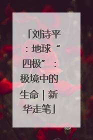 刘诗平：地球“四极”：极境中的生命｜新华走笔