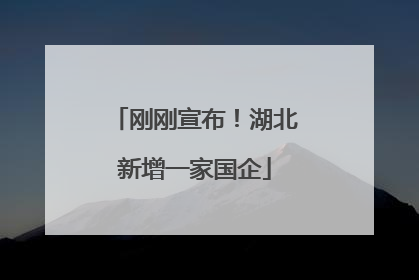 刚刚宣布！湖北新增一家国企
