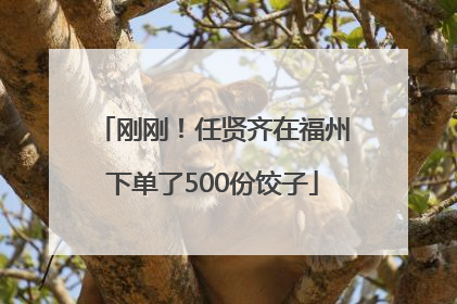 刚刚！任贤齐在福州下单了500份饺子