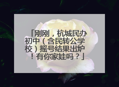 刚刚，杭城民办初中（含民转公学校）摇号结果出炉！有你家娃吗？