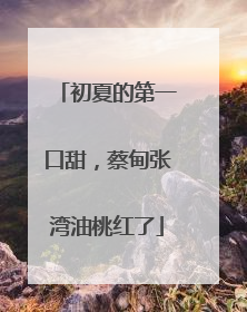 初夏的第一口甜，蔡甸张湾油桃红了