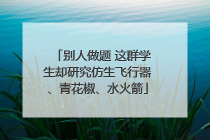 别人做题 这群学生却研究仿生飞行器、青花椒、水火箭