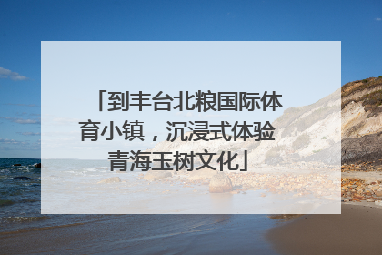 到丰台北粮国际体育小镇，沉浸式体验青海玉树文化