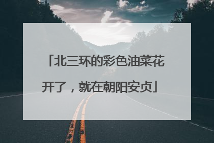 北三环的彩色油菜花开了，就在朝阳安贞