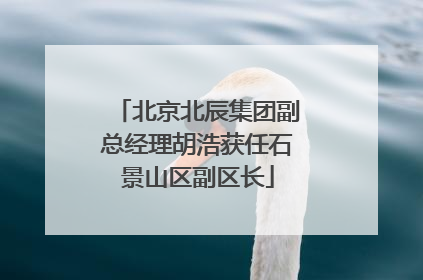 北京北辰集团副总经理胡浩获任石景山区副区长