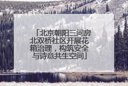 北京朝阳三间房北双桥社区开展花箱治理，构筑安全与诗意共生空间