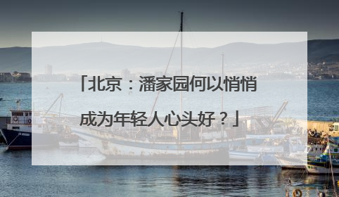 北京：潘家园何以悄悄成为年轻人心头好？