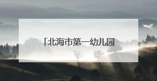 北海市第一幼儿园园长范徽丽：从大海到大山，坚信没有爱就没有教育