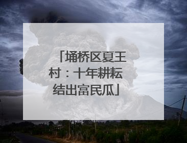 埇桥区夏王村：十年耕耘结出富民瓜