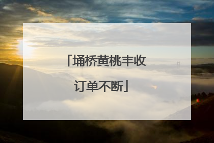 埇桥黄桃丰收 订单不断