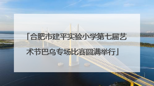 合肥市建平实验小学第七届艺术节巴乌专场比赛圆满举行