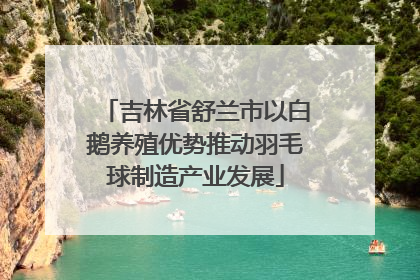吉林省舒兰市以白鹅养殖优势推动羽毛球制造产业发展
