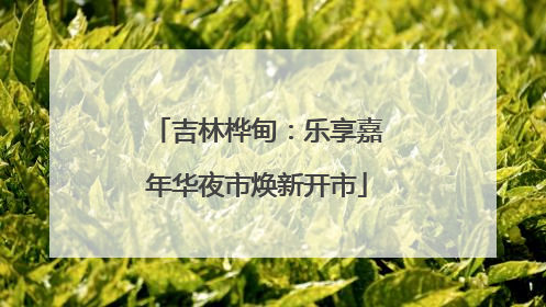 吉林桦甸：乐享嘉年华夜市焕新开市