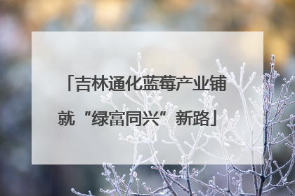 吉林通化蓝莓产业铺就“绿富同兴”新路