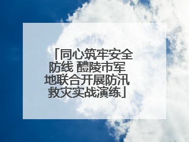 同心筑牢安全防线 醴陵市军地联合开展防汛救灾实战演练