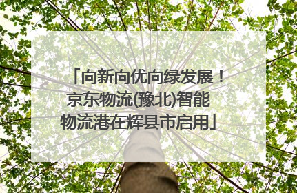 向新向优向绿发展！京东物流(豫北)智能物流港在辉县市启用