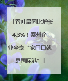 吞吐量同比增长4.3%！泰州企业坐享“家门口就是国际港”