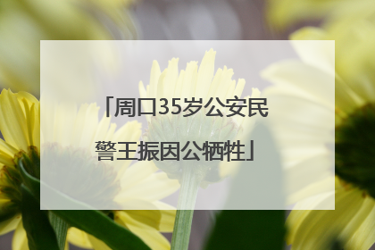 周口35岁公安民警王振因公牺牲