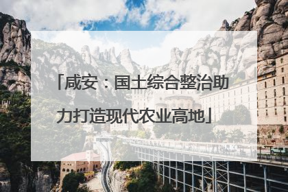 咸安：国土综合整治助力打造现代农业高地