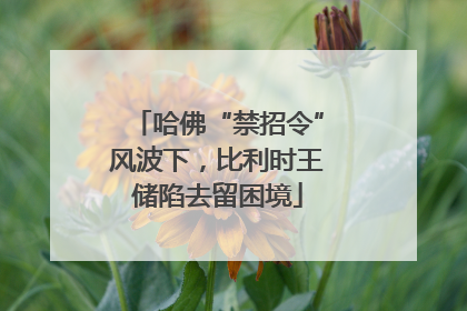 哈佛“禁招令”风波下，比利时王储陷去留困境