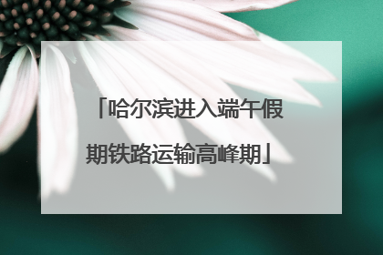 哈尔滨进入端午假期铁路运输高峰期
