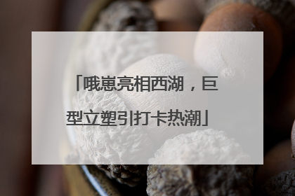 哦崽亮相西湖，巨型立塑引打卡热潮