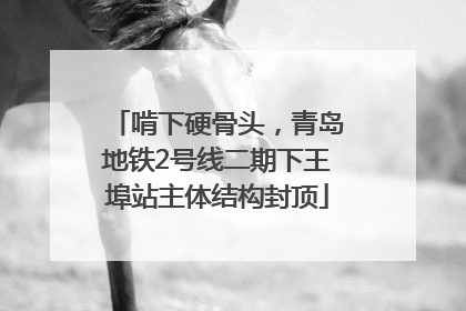 啃下硬骨头，青岛地铁2号线二期下王埠站主体结构封顶