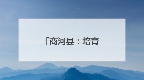 商河县：培育消费新场景 唱响文化振兴版“我们不一样”