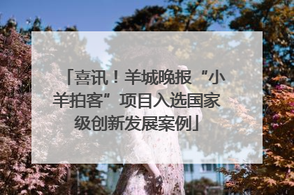 喜讯！羊城晚报“小羊拍客”项目入选国家级创新发展案例