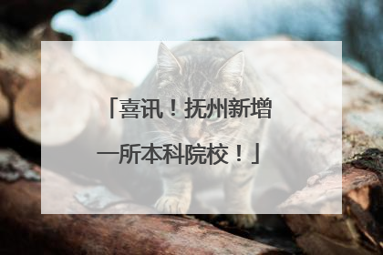 喜讯！抚州新增一所本科院校！