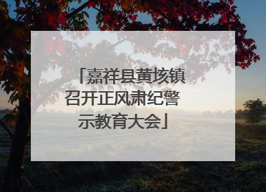 嘉祥县黄垓镇召开正风肃纪警示教育大会