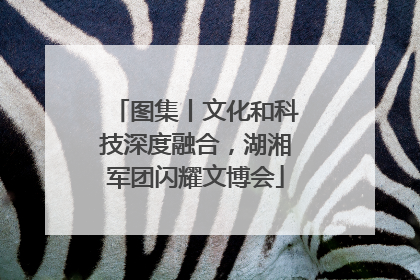 图集丨文化和科技深度融合，湖湘军团闪耀文博会